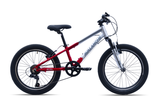Avalanche Buzz 20"