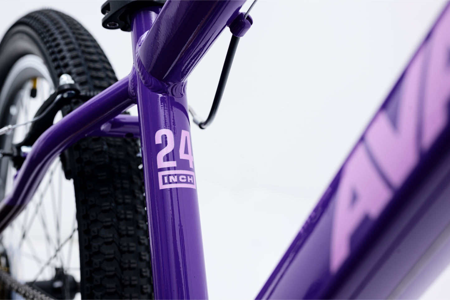 Avalanche Cosmic 24"