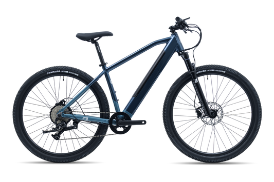 Avalanche Electric Bike MTe