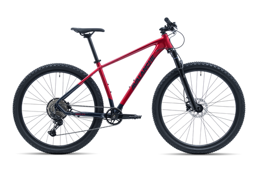 Avalanche Reflex Team