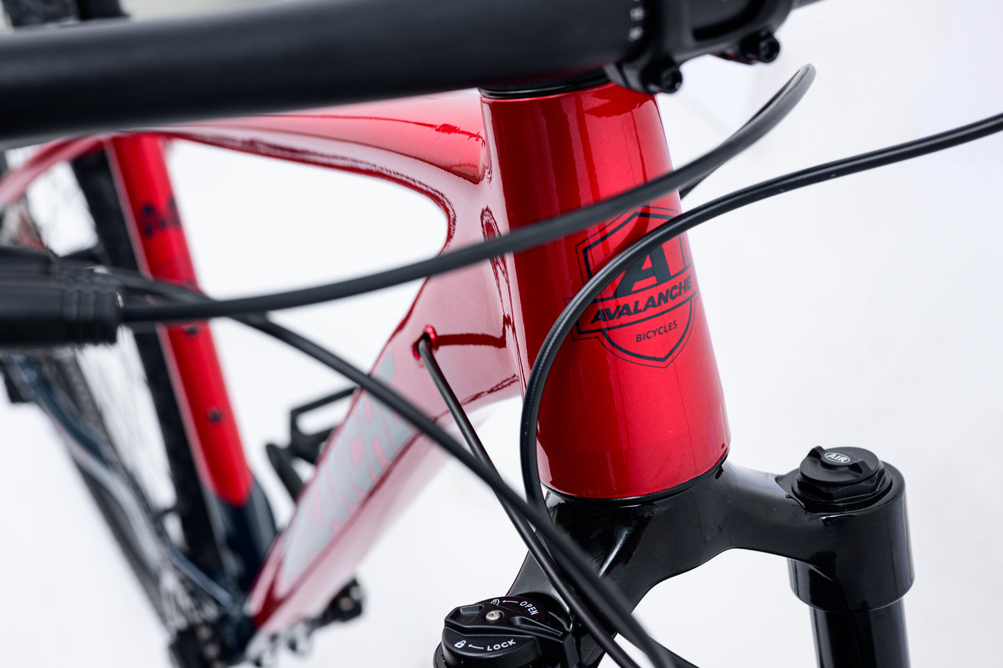 Avalanche Reflex Team