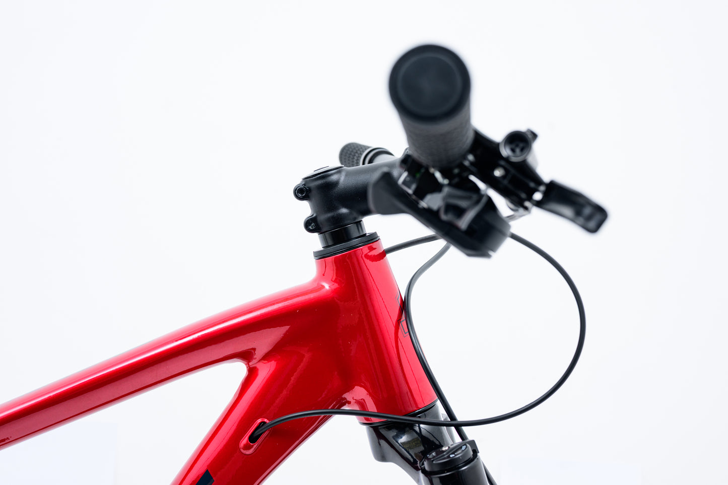 Avalanche Reflex Team