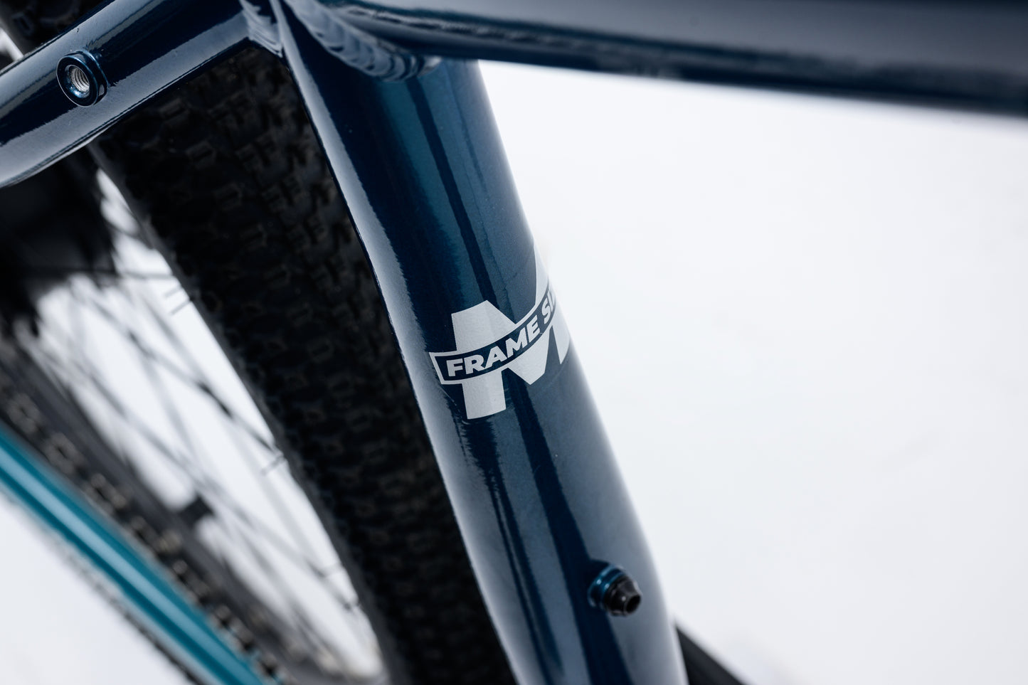 Avalanche Electric Bike MTe