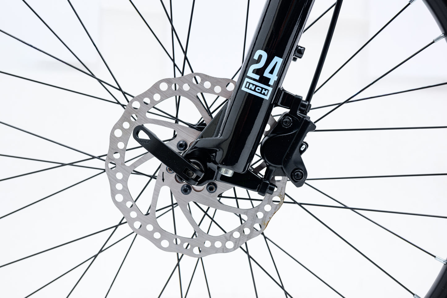 Avalanche Ignite 24"