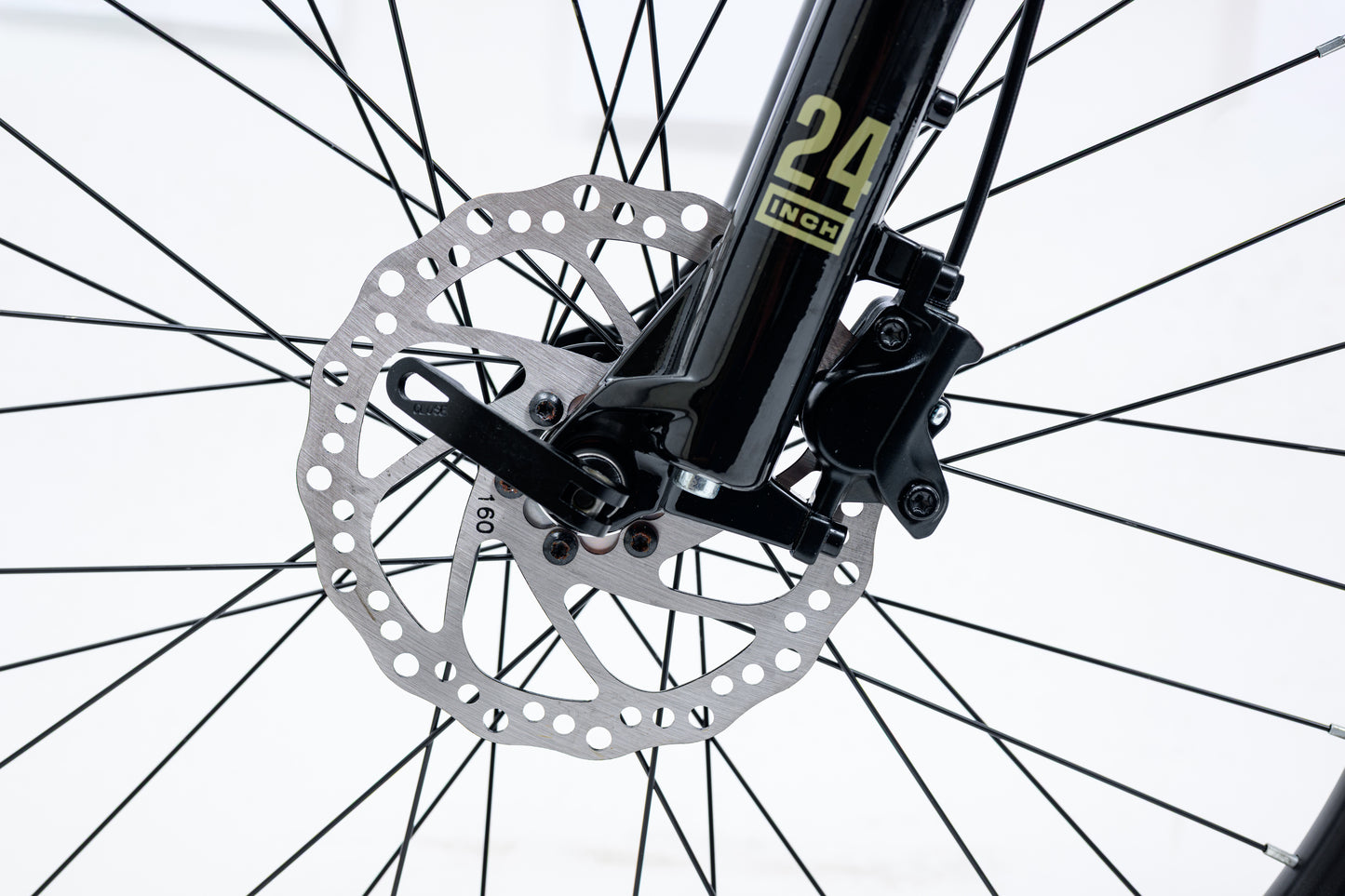 Avalanche Ignite 24"