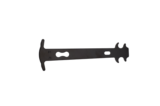 Avalanche Chain Checker